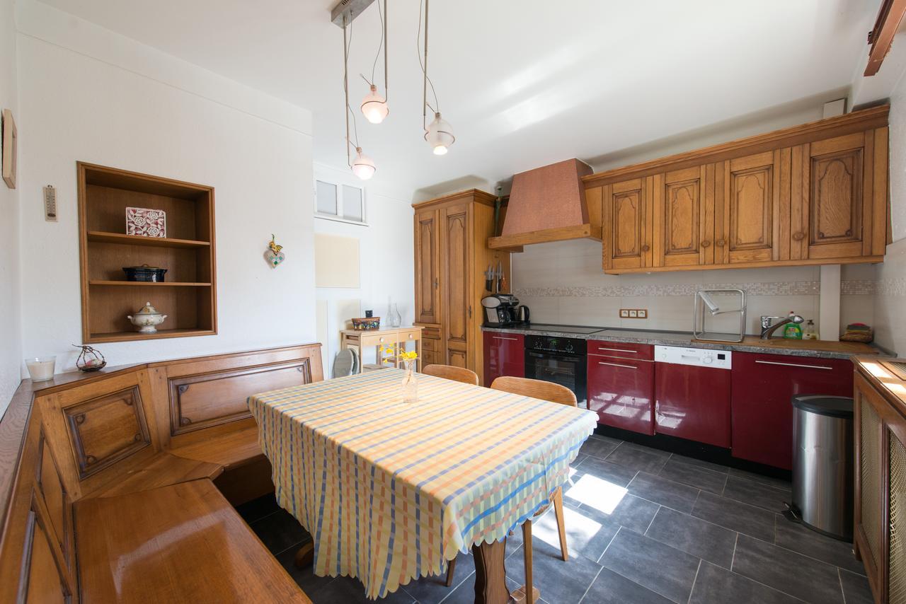 Appartement T3 Aux Deux Cigognes Gries Kültér fotó