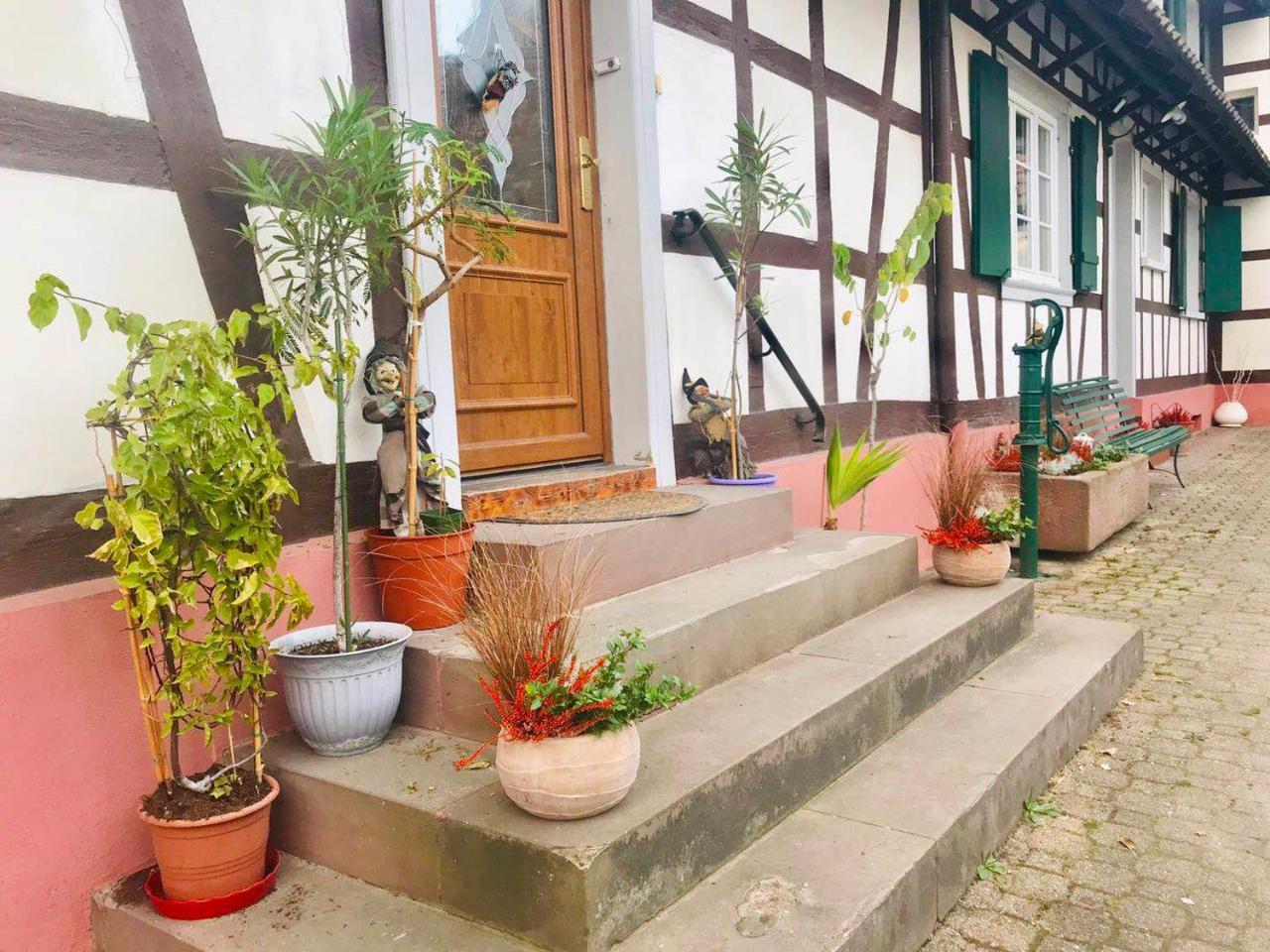 Appartement T3 Aux Deux Cigognes Gries Kültér fotó